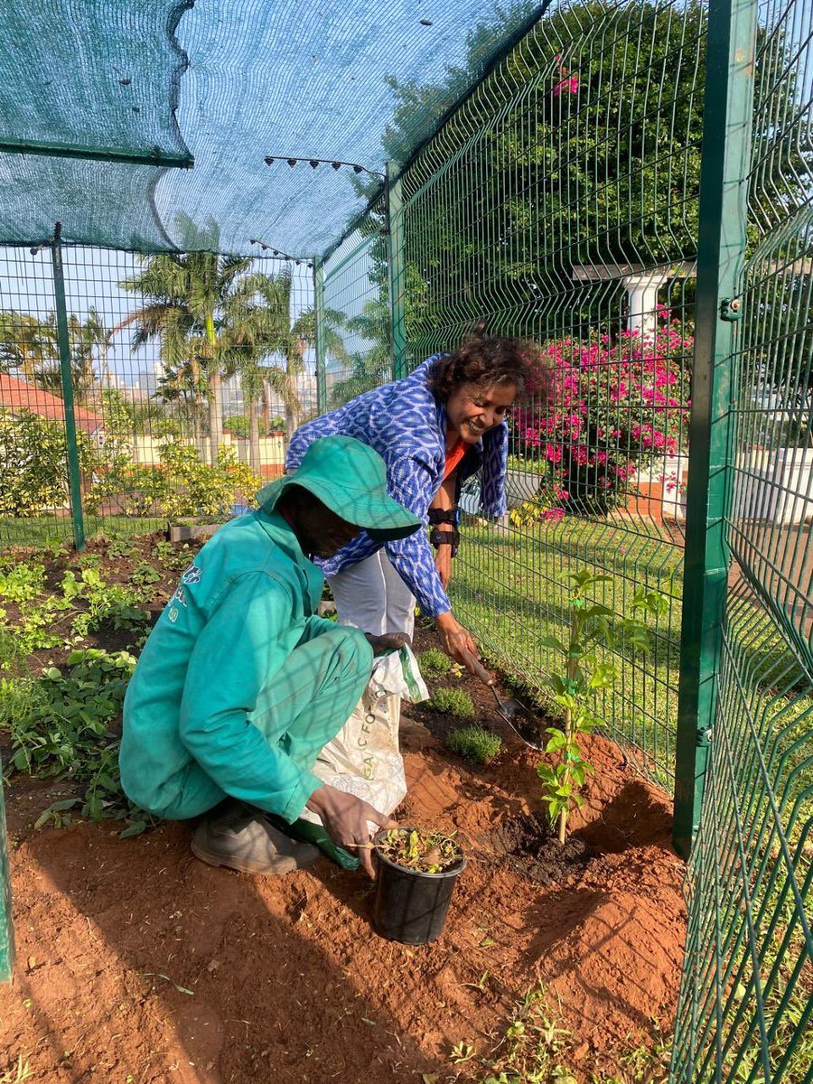 Viksit Bharat tree plant October 1st, 2025